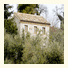 Agriturismo Il Gelso Antico