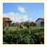 Agriturismo Ninea