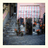 Cinqueterre Holidays: fotografie