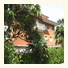 Villa Arianna: fotografie