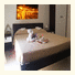 Bed and Breakfast Cialdini 13: fotografie