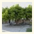 Vittoria Il Graditempo Country House