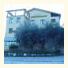 Hotel Olivi: fotografie