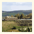 Agriturismo Gigliotto: fotografie