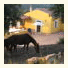 La Valle Dei Corbezzoli B&B