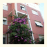 Albergo Villa Rosa