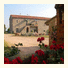 Azienda Agricola la Valentina Nuova: fotografie