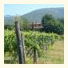 Agriturismo Paterna
