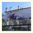 Hotel Tritone