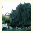 Park Hotel Villa Salzea