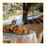 Cruccùris Resort: fotografie