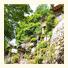 Ryokan Yamato: fotografie