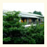 Mitake