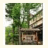 Yumoto Itaya