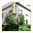 Imazato Ryokan