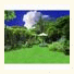 Pension Iriomote: fotografie