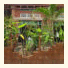 Angkor Wonder Hotel: fotografie