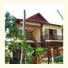 Damnak Angkor Resort & Spa: fotografie