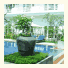 Frangipani Villa Hotel - Siem Reap: fotografie