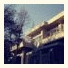 Big Tree House Hostel Seoul: fotografie