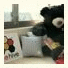 Guesthouse Beehive: fotografie