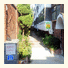 Namu Guesthouse Hongdae