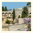 Mir Amin Palace