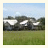 Kandalama Lake Resort