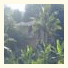 Fernleaf Holiday Resort
