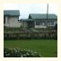 Tea Bush Hotel