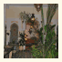 Riad Dar Zouhour: fotografie