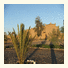 Camping Amridil Skoura Ouarzazate Maroc