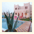 Riad Boukho