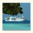 Atoll Explorer Maldives: fotografie