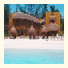 Hotel Holbox Dream: fotografie