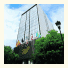 Best Western Royal Zona Rosa: fotografie