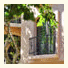 Acanto Boutique Hotel: fotografie