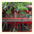 Hotel Posada Freud: fotografie