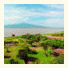 Hacienda Ucazanaztacua