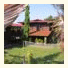 Treetops Lodge: fotografie
