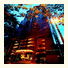 The Maple Suite: fotografie