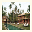 Temple Tree Resort: fotografie
