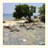 Minang Cove
