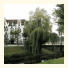 Hotel Molendal