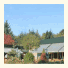Hotel Bergse Bossen