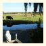 B&B-Edam