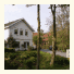 Villa Cedrus