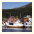 Knutholmen