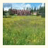 Nordseter Apartments