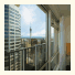 Auckland Harbour Oaks: fotografie